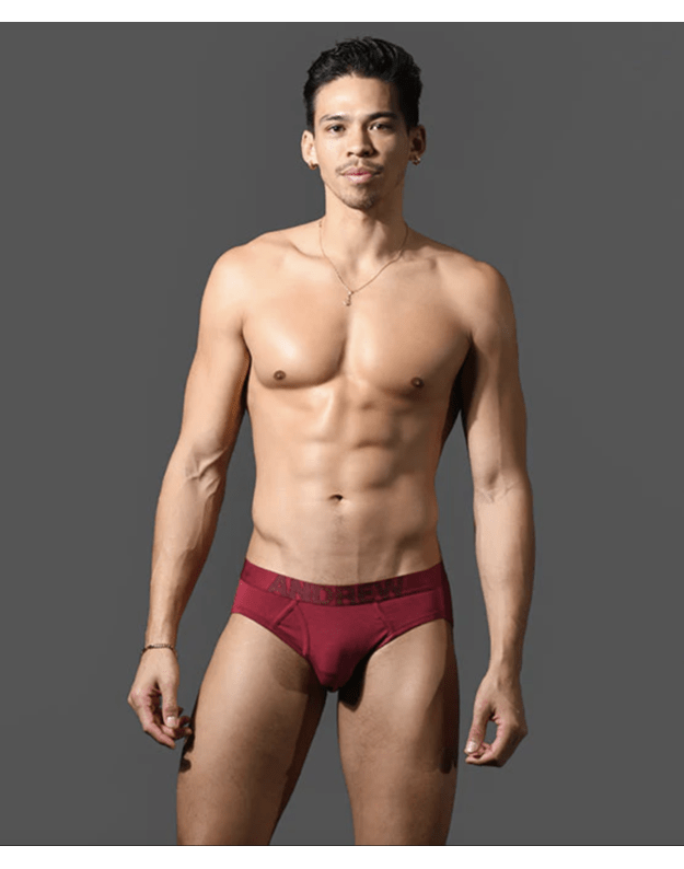 Andrew Christian Bespoke Modal vyriškos bordo spalvos kelnaitės