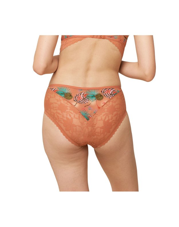 Triumph Shadow Spotlight Tanga hipster kelnaitės 2