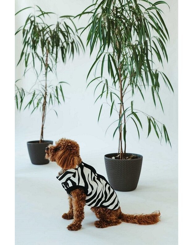 Sofa Killer trispalvis kombinezonas šuniui Zebra